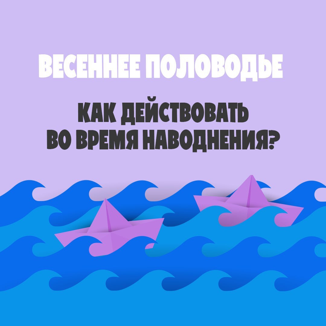 323kHIbfiOQ.jpg