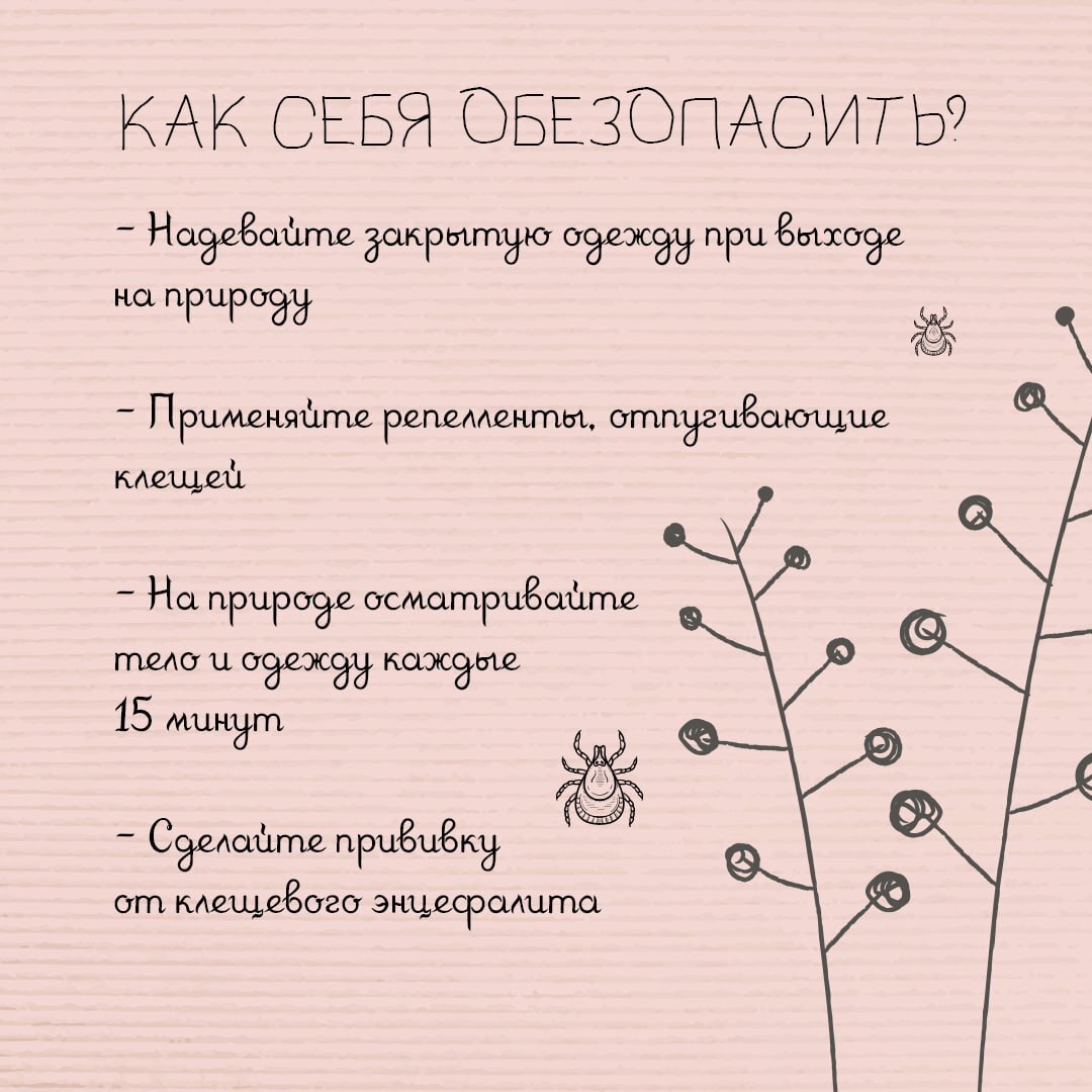 ibjktXItfls.jpg