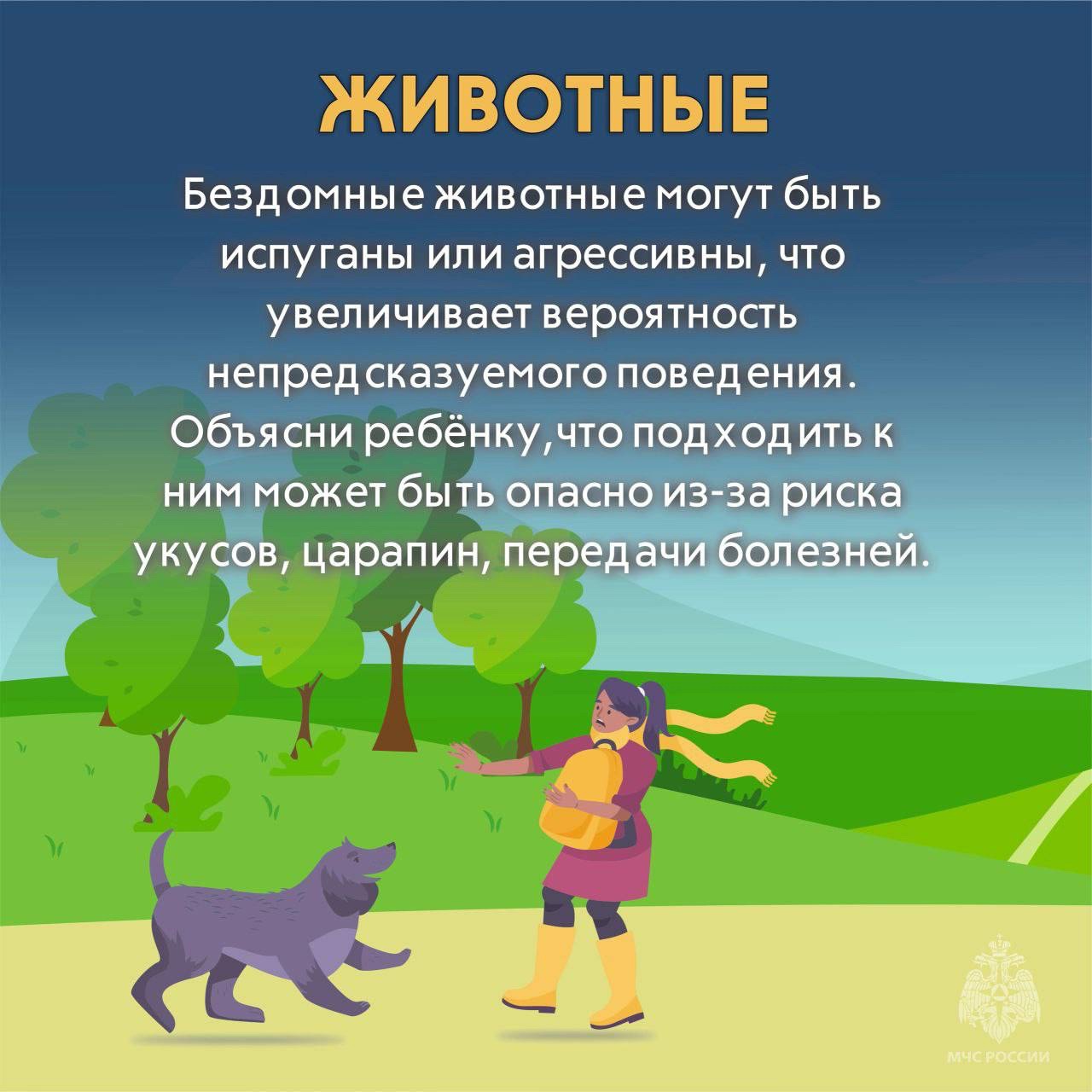 CC71ob5_hoFtLcgTTEja7nx9-I1cyBiTad_T4TNas85742dZ-jrU1uuFx2WrTQy1syARJe9svJK0J311uSdr7ra8.jpg
