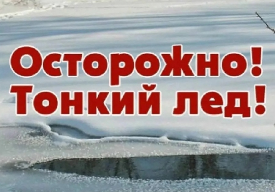 C73dofXveH3a4BP1Pc1vHOaIFNyUu3m60gob9LUdbLhvvA8_k2L1fl5-KYXAB_9H-1BbY3V-YtaJ3qAanBtj8EUA.jpg